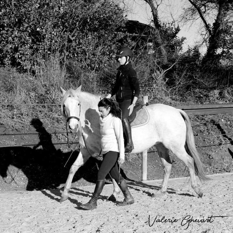 cours equitation aurore fougeray