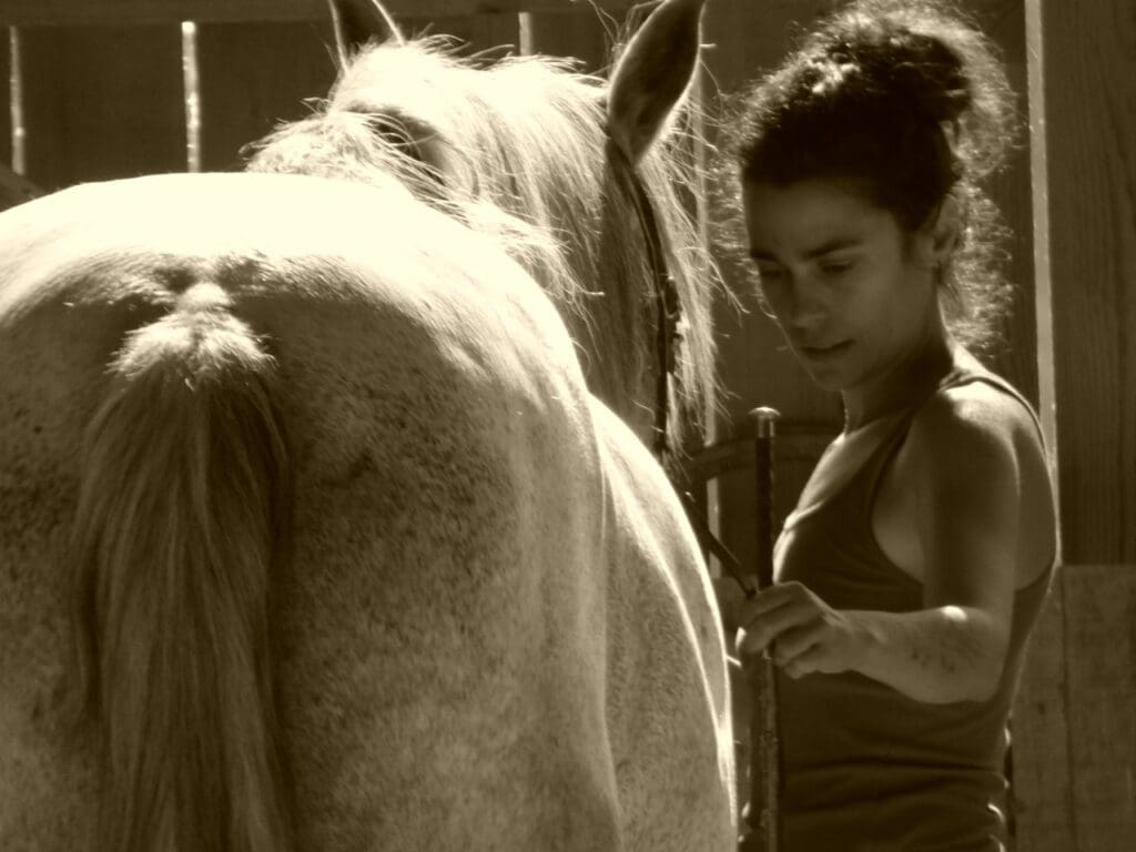 sagesse yoga equestre
